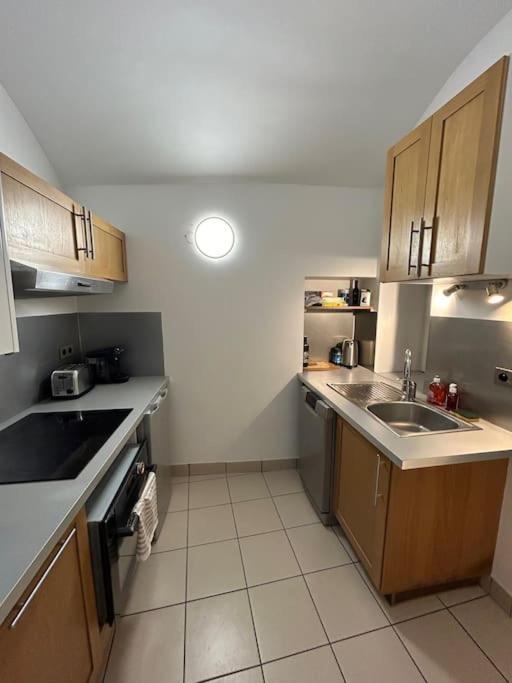 Duplex Avec Terrasse En Hypercentre De Grenoble Apartman Kültér fotó