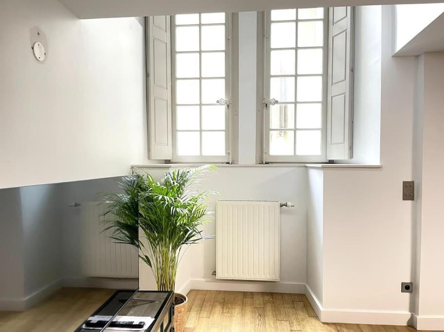 Duplex Avec Terrasse En Hypercentre De Grenoble Apartman Kültér fotó