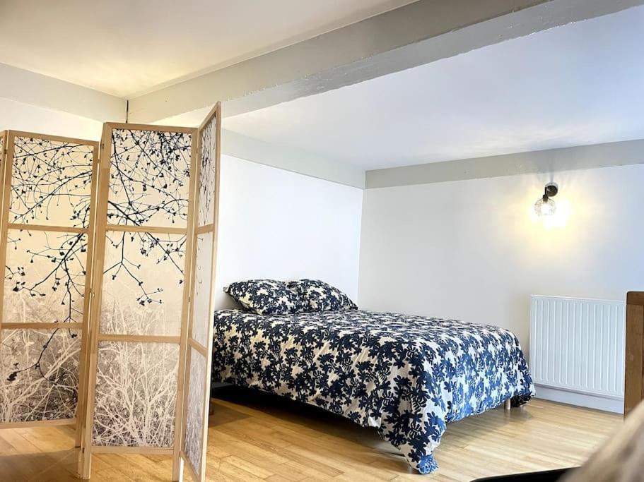Duplex Avec Terrasse En Hypercentre De Grenoble Apartman Kültér fotó
